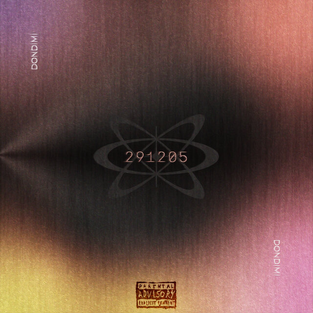 291205