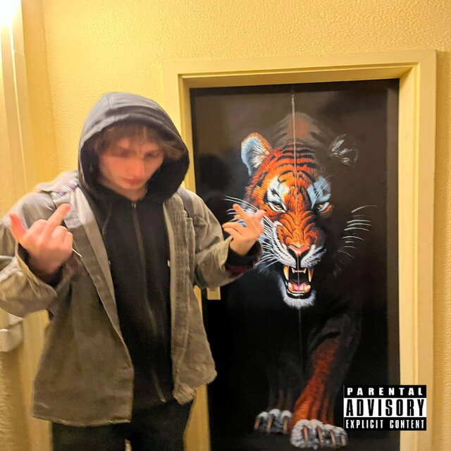 L1x