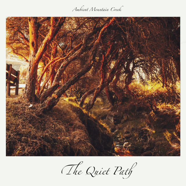 Ambient Mountain Creek