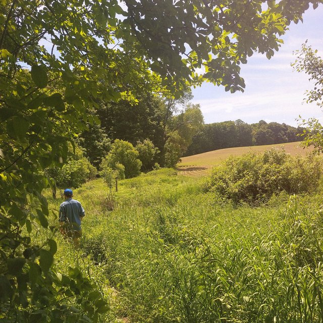 Runnin'