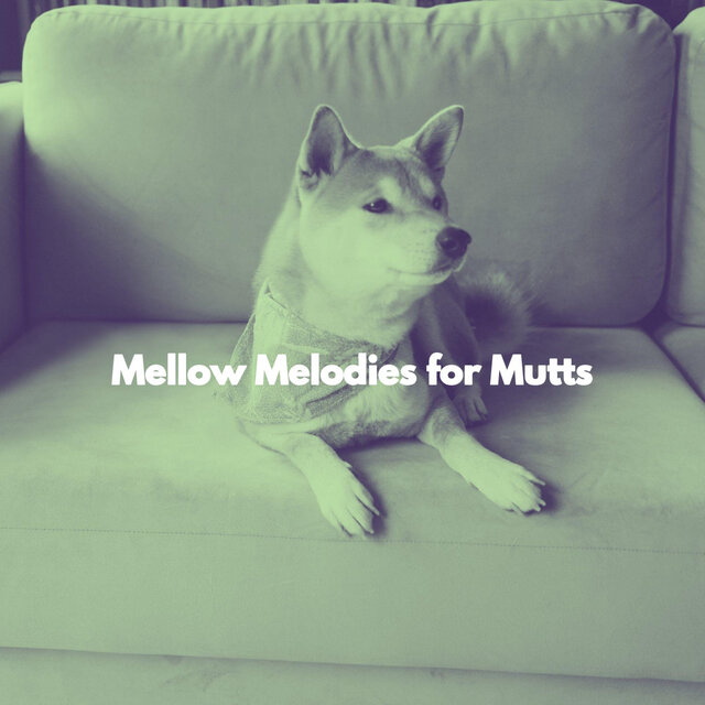 Mellow Melodies for Mutts