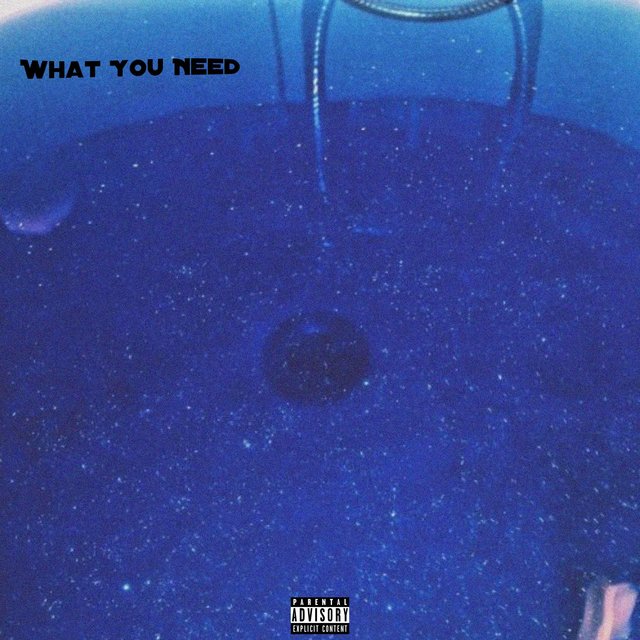 What You Need