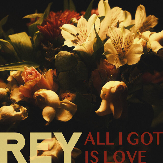 ALL I GOT IS LOVE