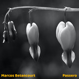 Passero