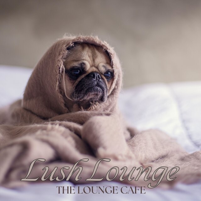 Lush Lounge