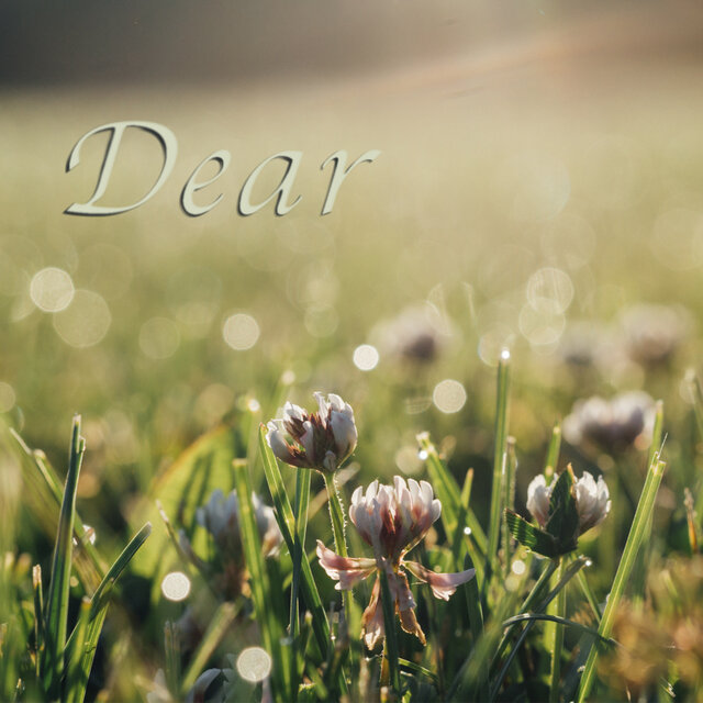 Dear