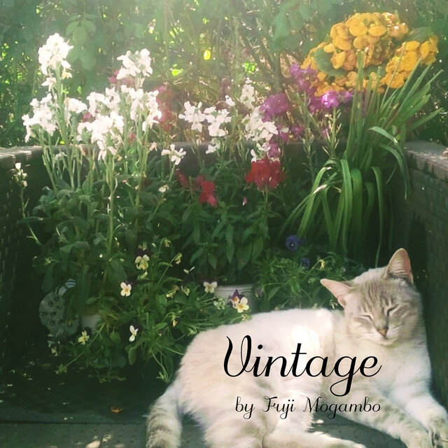 Vintage