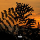 Stranger (feat. Vibest)