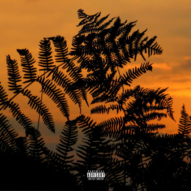 Stranger (feat. Vibest)