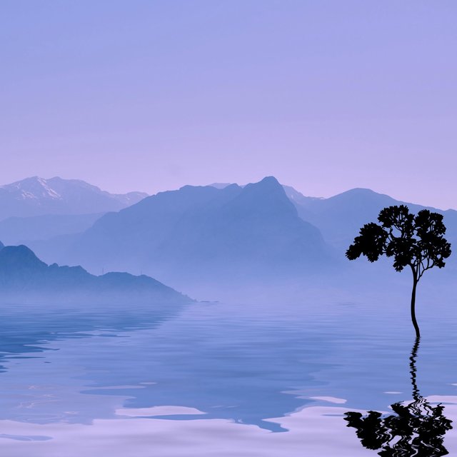 Straight Up Lofi