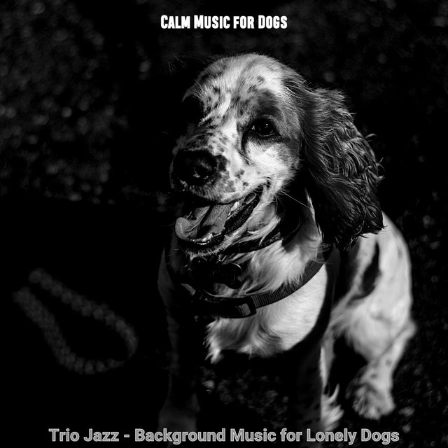 Trio Jazz - Background Music for Lonely Dogs