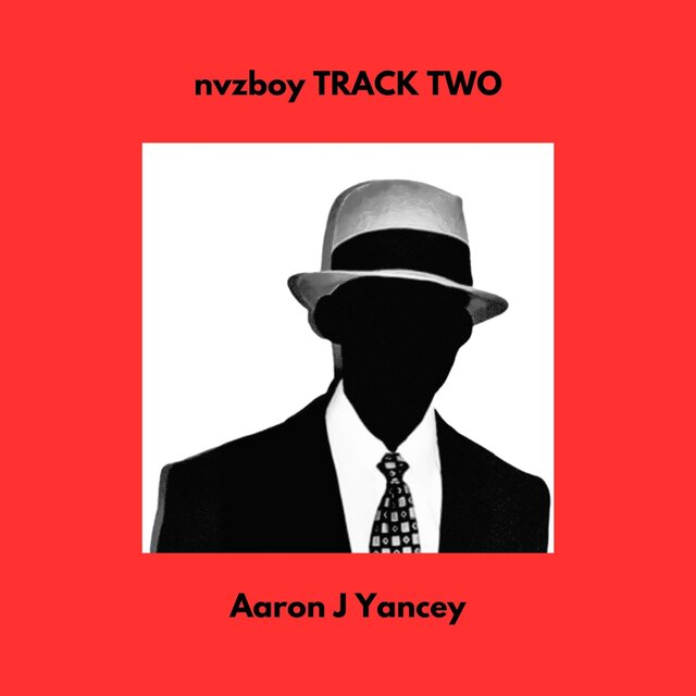 nvzboy TRACK TWO