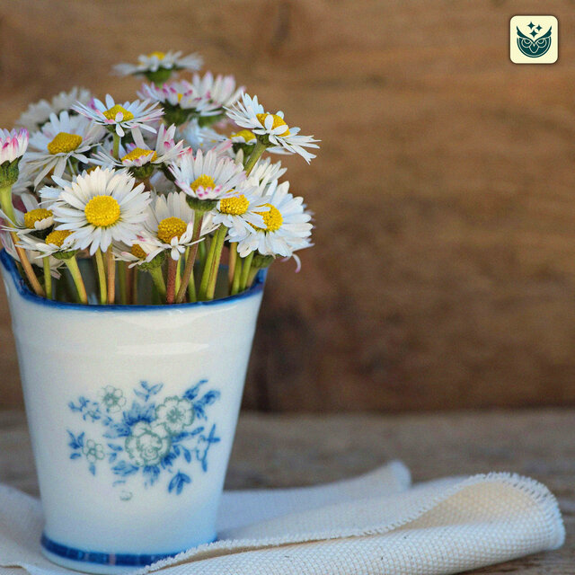 Daisies