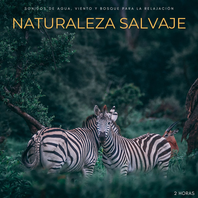 Naturaleza Salvaje: Sonidos De Agua, Viento y Bosque Para La Relajación - 2 Horas