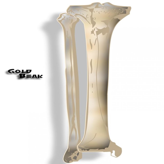 Open Fracture Of The Tibia EP