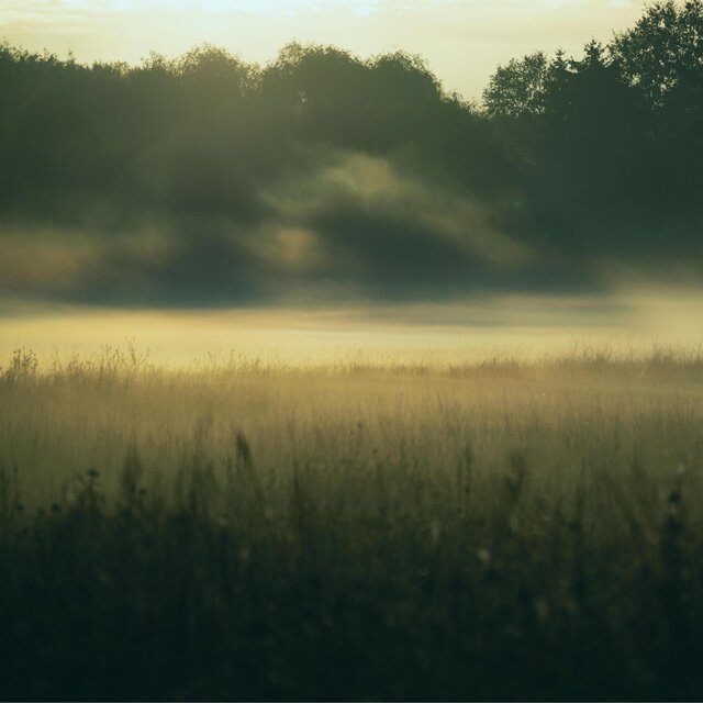 Morning Echo