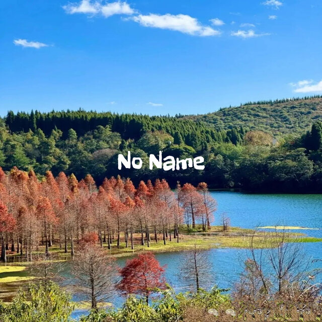 No Name