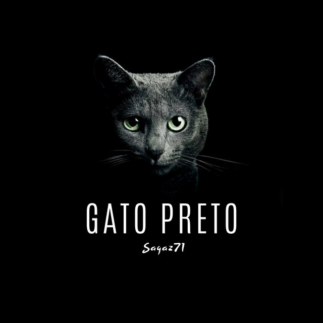 Gato Preto