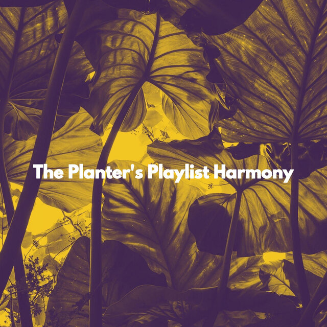 The Planter's Playlist Harmony