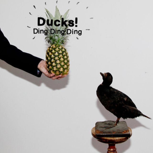 Ding Ding Ding