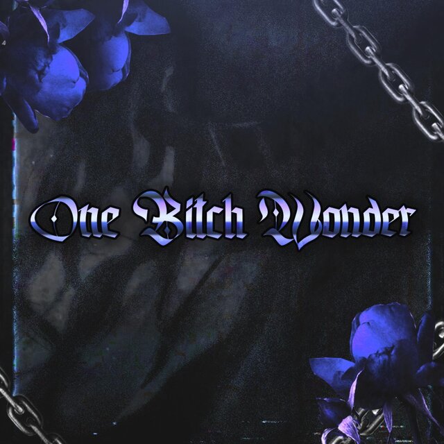 One bitch wonder (feat. r3.halfpace)