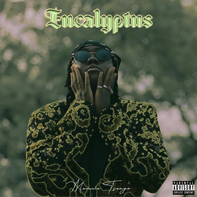 Eucalyptus