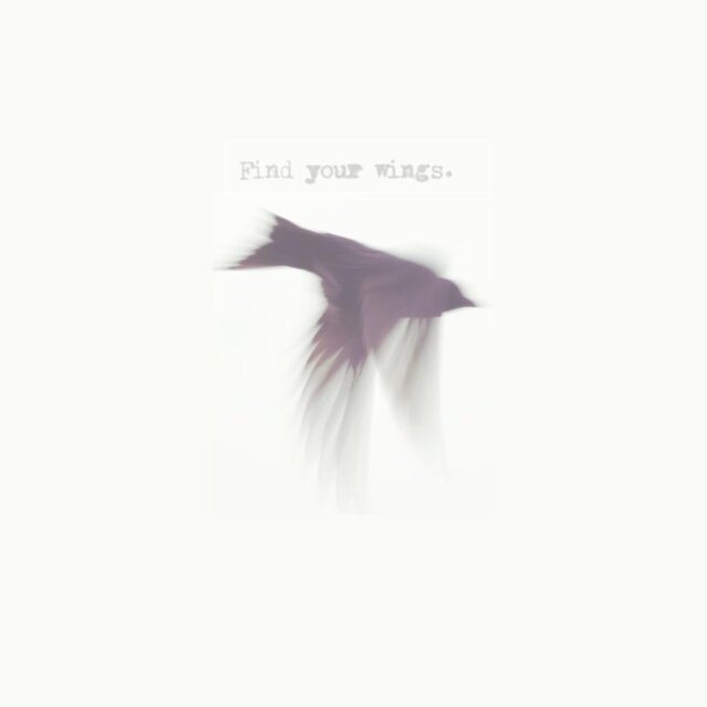 find your wings.