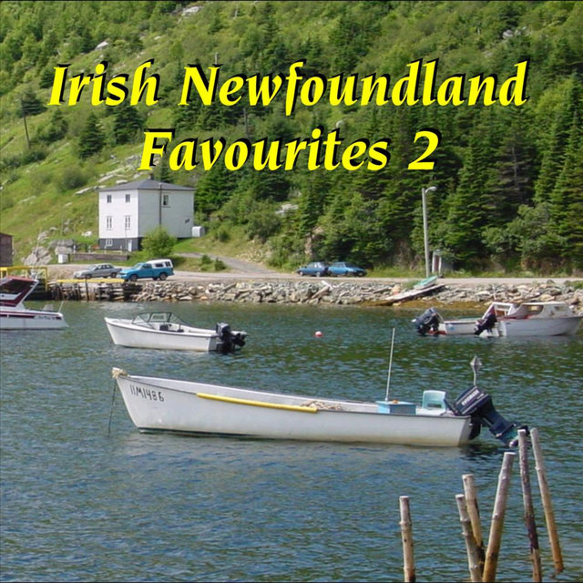 Irish Newfoundland Favourites 2