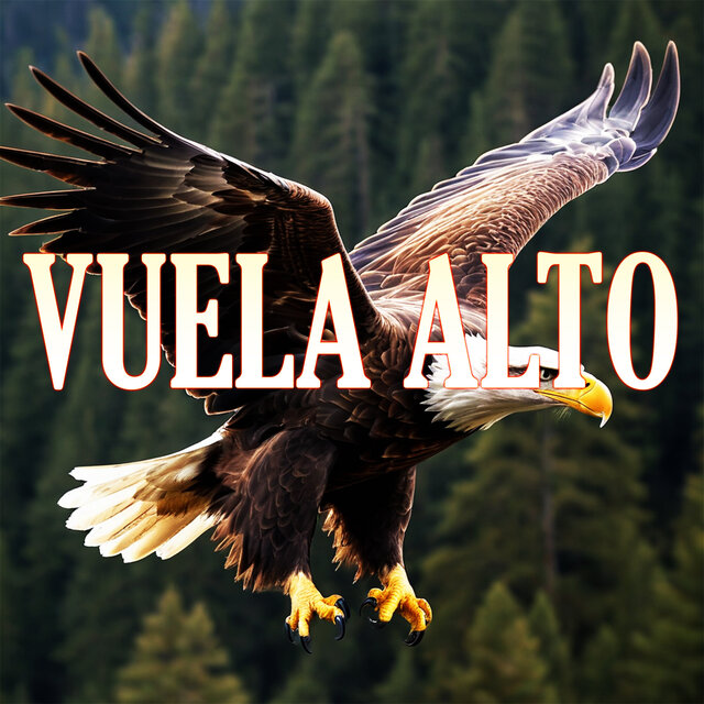 Vuela Alto