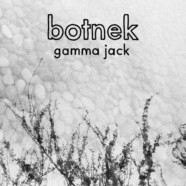 Gamma Jack