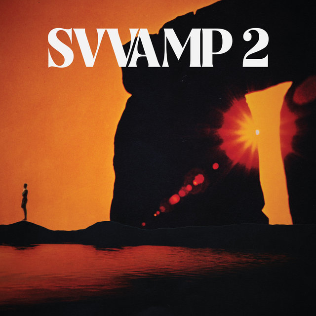 Cover art for album SVVAMP 2 by SVVAMP