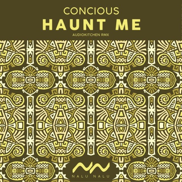 Haunt Me (Audiokitchen Remix)