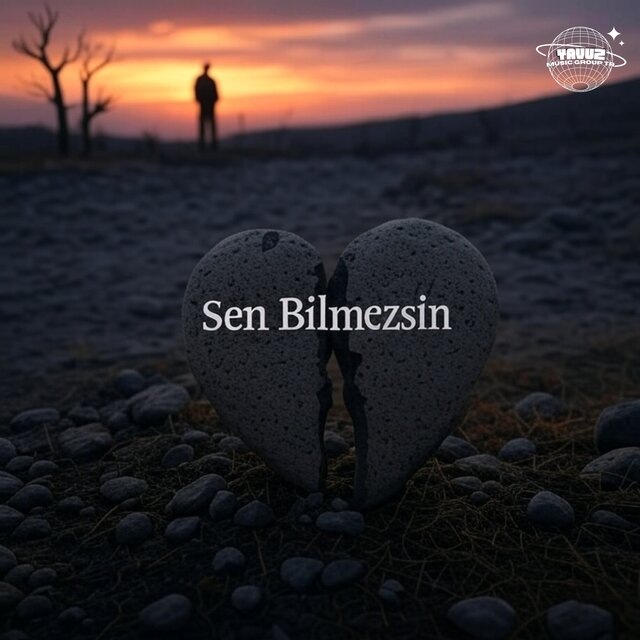 Sen Bilmezsin