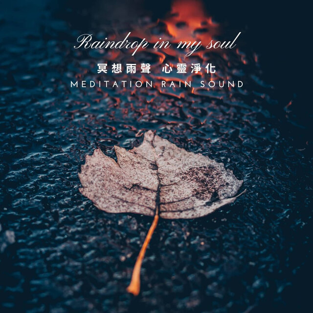 冥想雨聲 心靈淨化