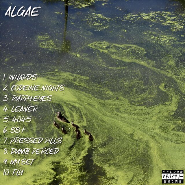 Algae