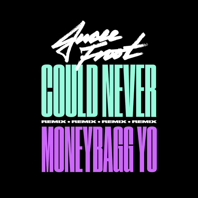 Cover art for album Could Never (Remix) [feat. Moneybagg Yo] by Jucee Froot, Moneybagg Yo