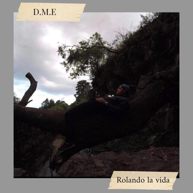 Rolando La Vida