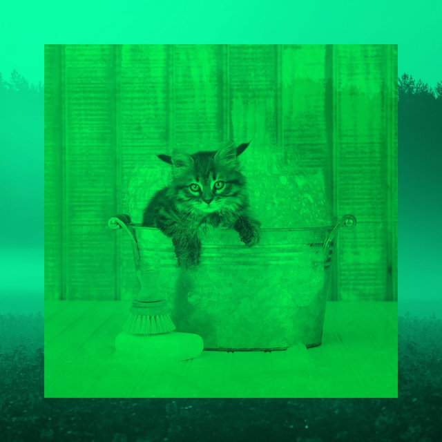 Backdrop for Comfy Cats