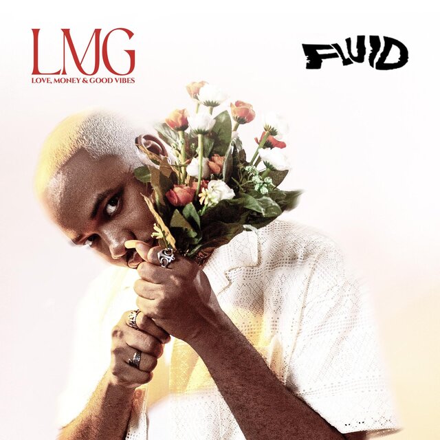 Cover art for album  by Fluid