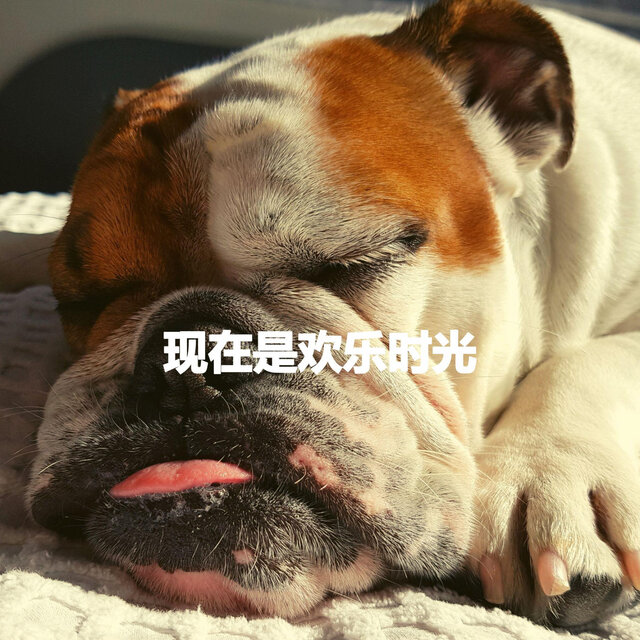 现在是欢乐时光