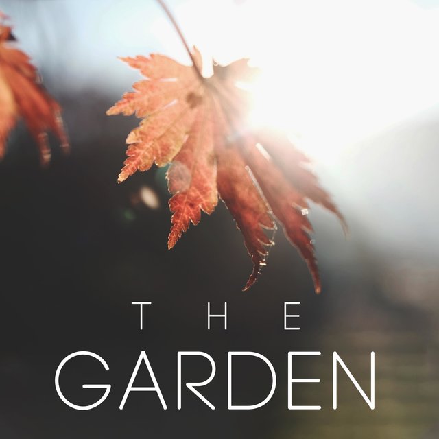 The Garden (feat. BigRicePiano)