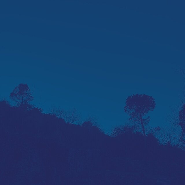 thoughts