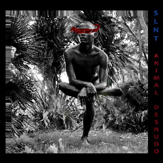 Animal Desnudo