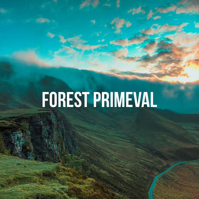 Forest Primeval