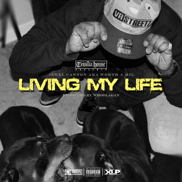 Living My Life - Single