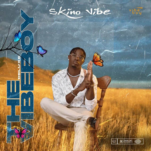 THE VIBEBOY DELUXE