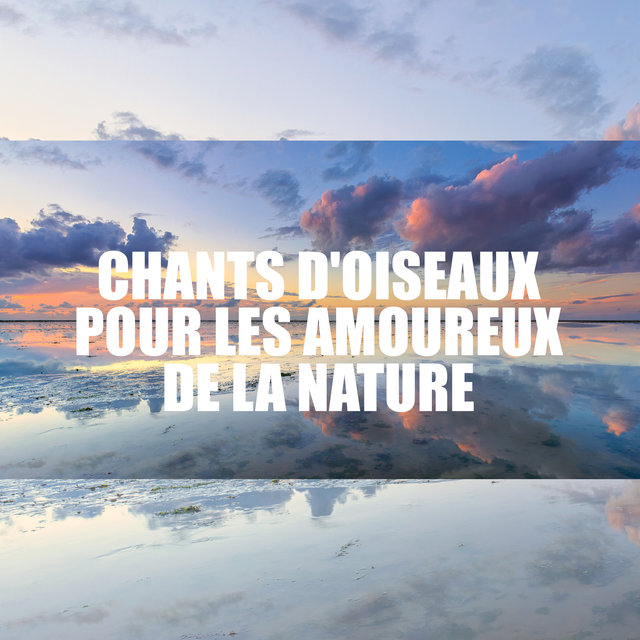 Chants d'oiseaux pour les amoureux de la nature: Thérapie de la nature, Proche de la nature, Sons curatifs, Zone de relaxation