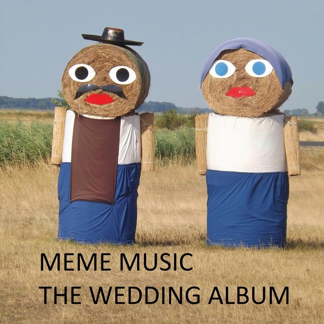 The Wedding Album