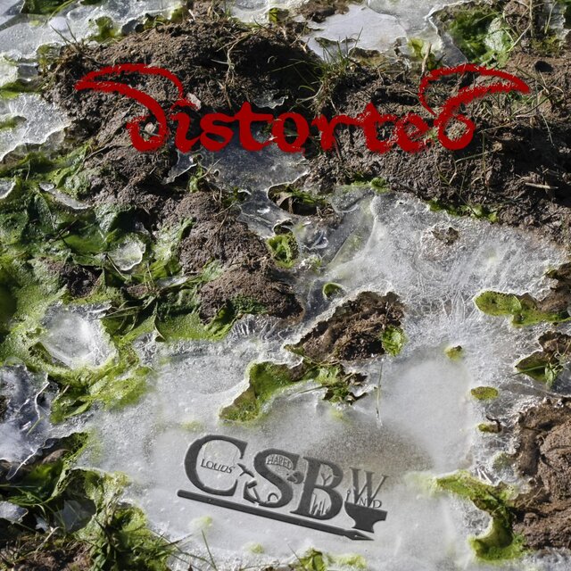 DistorteD
