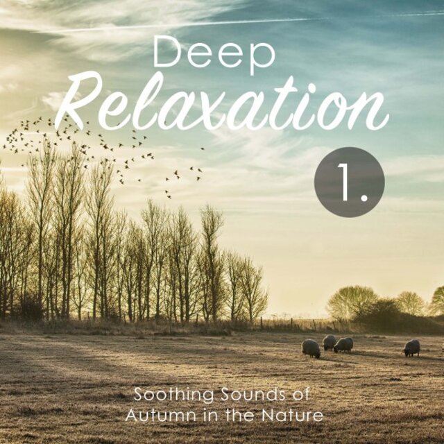 Deep Relaxation: Soothing Sounds of Autumn in the Nature